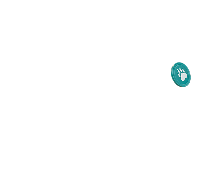 Coin 2