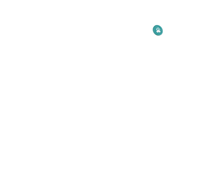 Coin 3